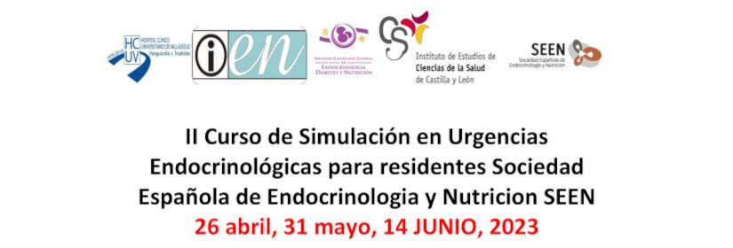 curso-de-simulacion-en-urgencias-endocrinologicas-para-residentes-de-la-sociedad-espanola-de-endocrinologia-y-nutricion-seen-2022